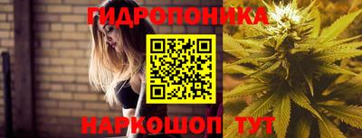 стаф Обь