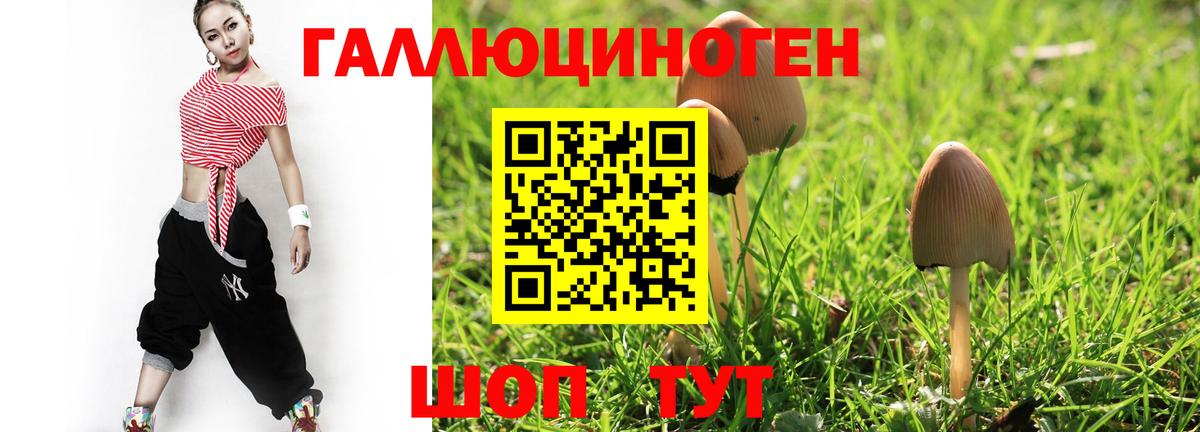 Скопин  Галлюциногенные грибы GOLDEN TEACHER  Вход с VPN  Псилоцибиновые грибы MAGIC MUSHROOMS 
